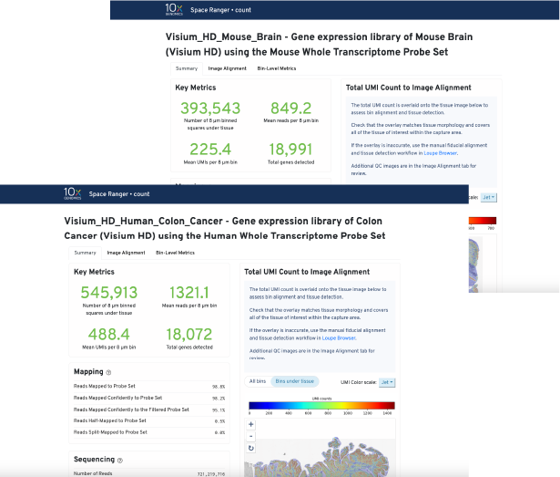 Novogene Presales For Single-Cell Spatial Gene Expression With Visium HD!